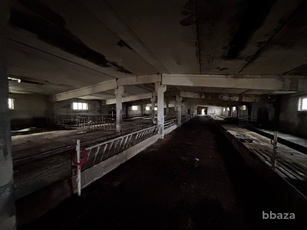 Аренда производства 3350 м2 Наро-Фоминск - изображение 8