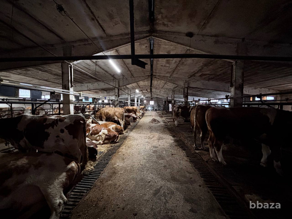 Аренда производства 3350 м2 Наро-Фоминск - изображение 2