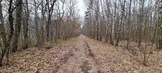 База отдыха "Лесные дали" Луховицы