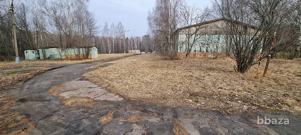 База отдыха "Лесные дали" Луховицы - изображение 7