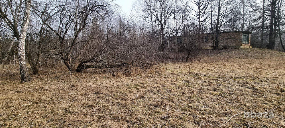 База отдыха "Лесные дали" Луховицы - изображение 5