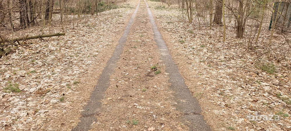 База отдыха "Лесные дали" Луховицы - изображение 8