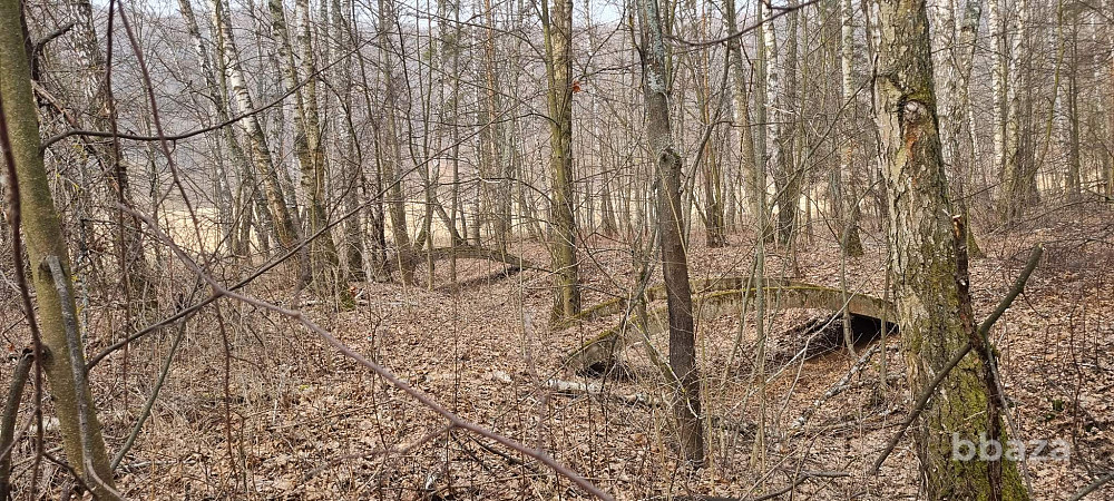 База отдыха "Лесные дали" Луховицы - изображение 9