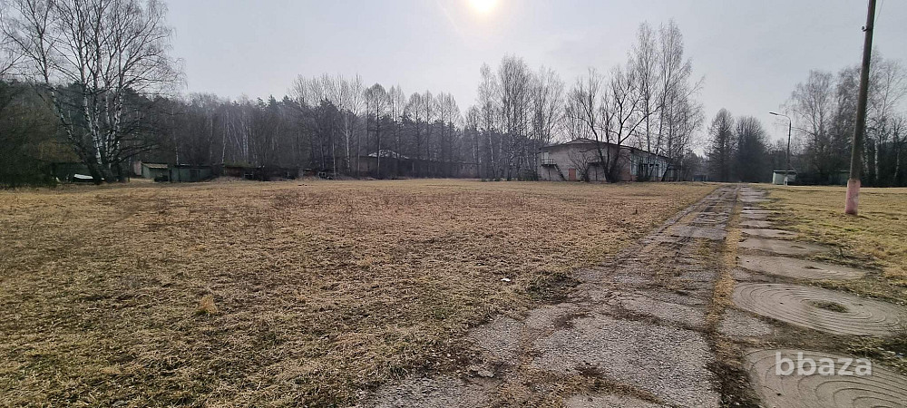 База отдыха "Лесные дали" Луховицы - изображение 4