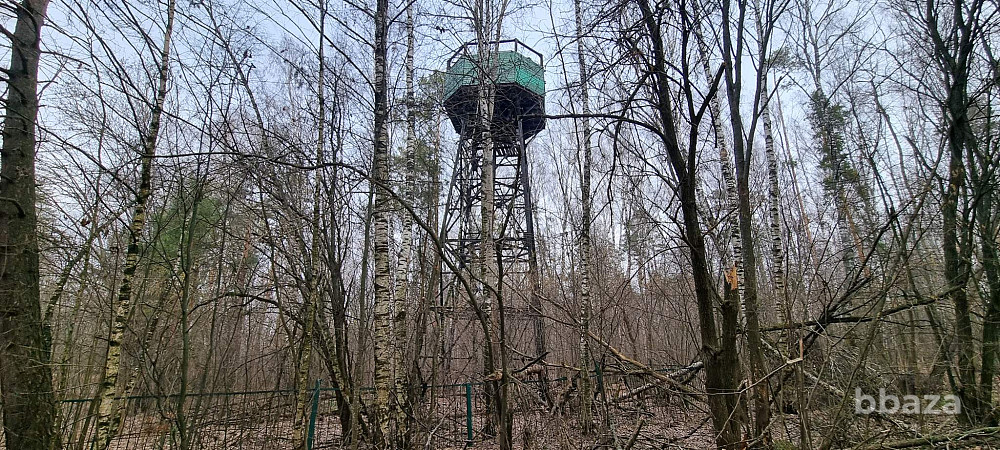 База отдыха "Лесные дали" Луховицы - изображение 10