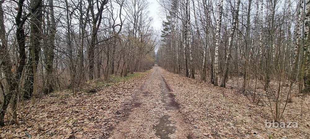 База отдыха "Лесные дали" Луховицы - изображение 2