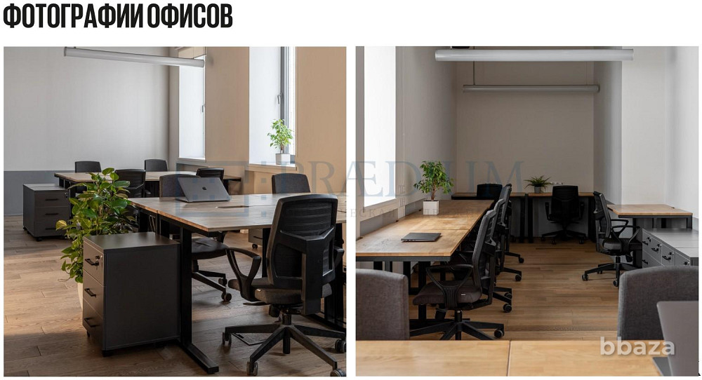 Сдается офисное помещение 30 м² Москва - изображение 2