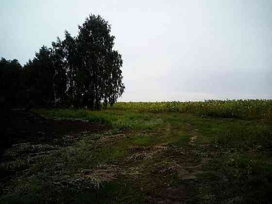 Продам землю сельхоз - Камешкирский район Пенза