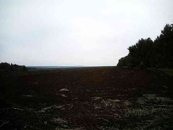 Продам землю сельхоз - Камешкирский район Пенза