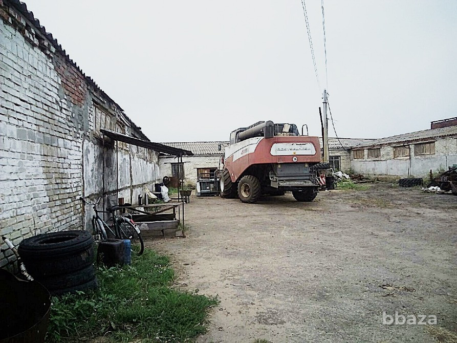 Продам землю сельхоз - Камешкирский район Пенза - изображение 3