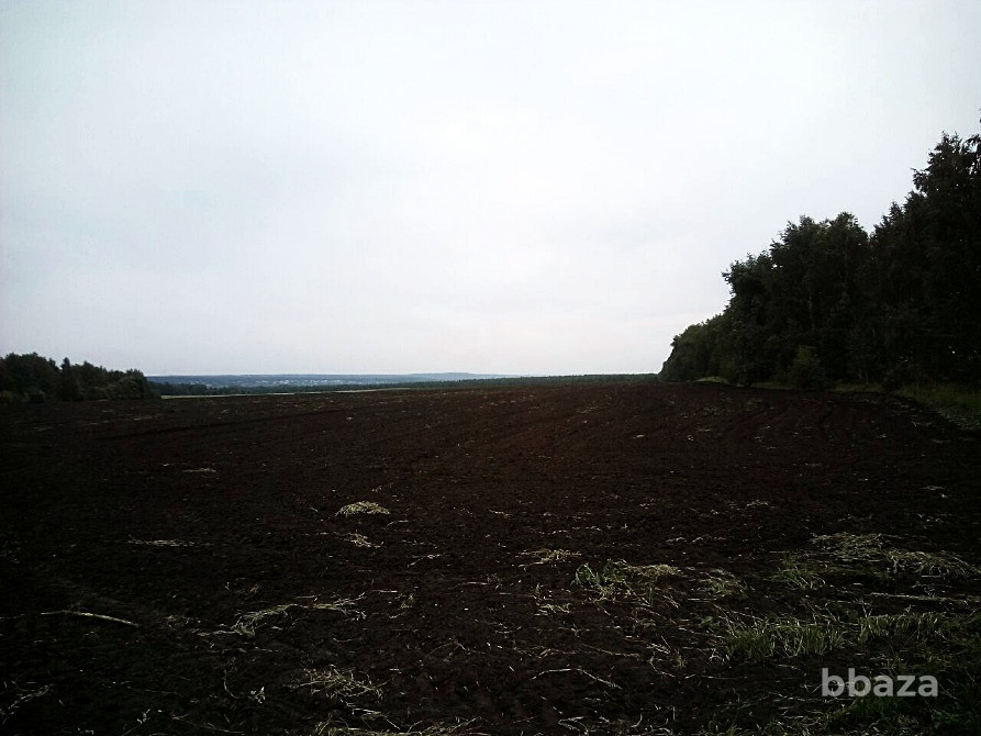 Продам землю сельхоз - Камешкирский район Пенза - изображение 1