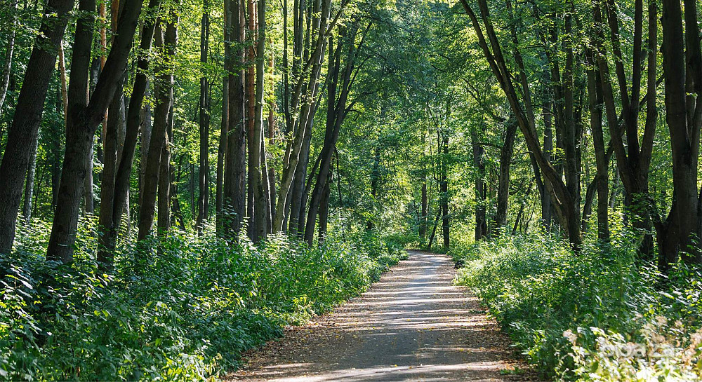 Прямая продажа от застройщика Татарстан - изображение 7