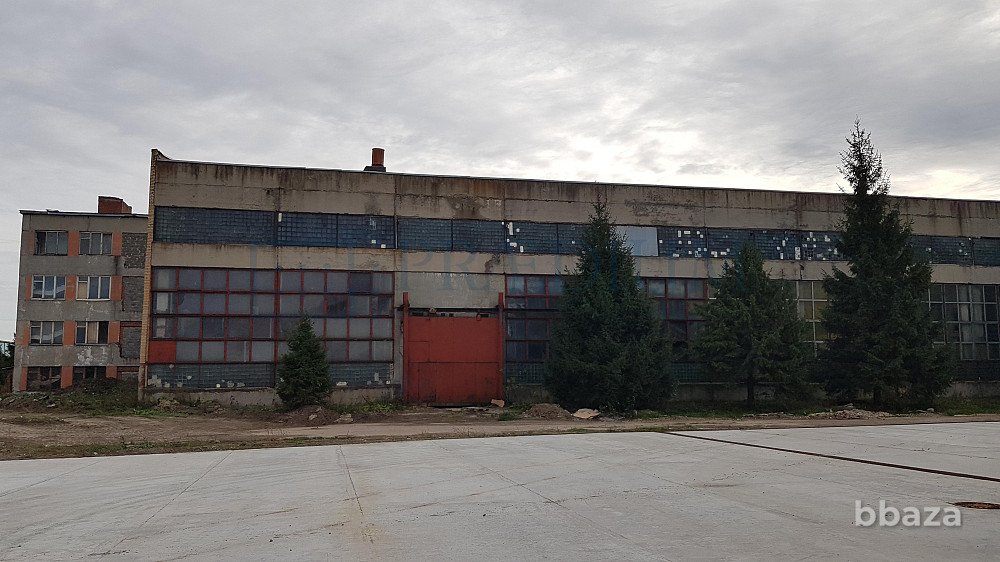 Сдается помещение 4500.00 м² Москва - изображение 6