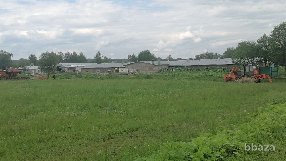 Продам ферму Калуга - изображение 2