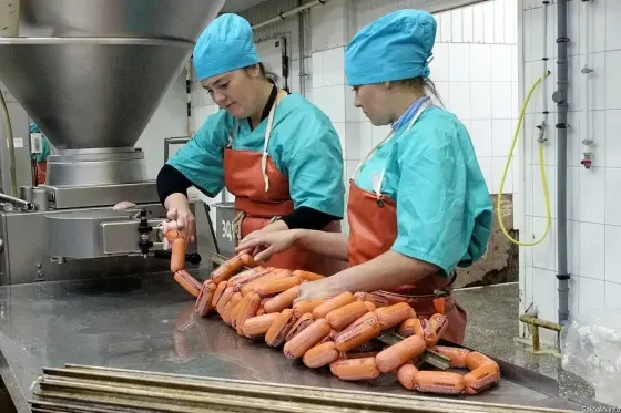 Продается работающее непрерывно в Донецке с 1998 года производство колбасы Донецк