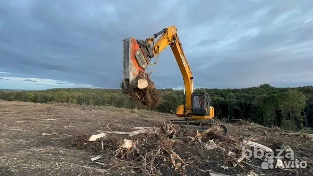 Расчистка территорий от деревьев и пней от 1 Га Балашиха - изображение 3