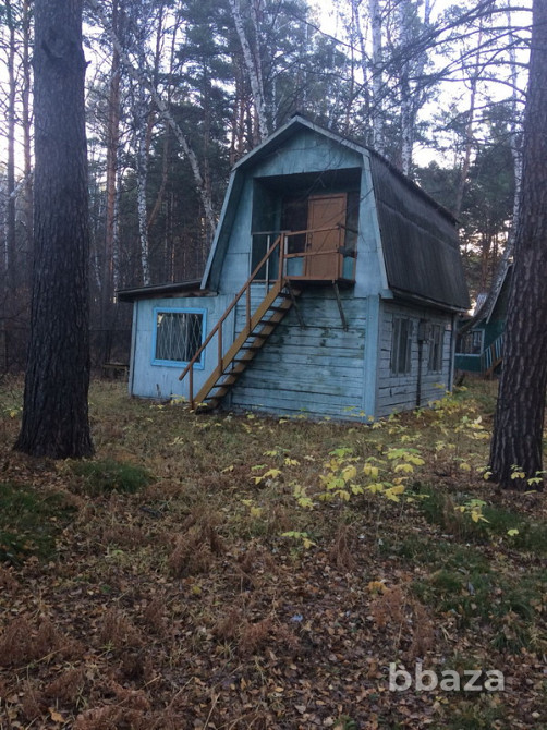 Лыжная база отдыха Новосибирск - изображение 3