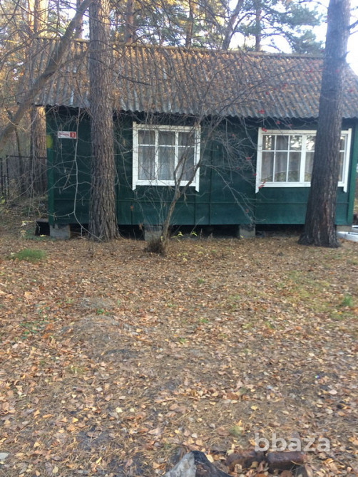 Лыжная база отдыха Новосибирск - изображение 7