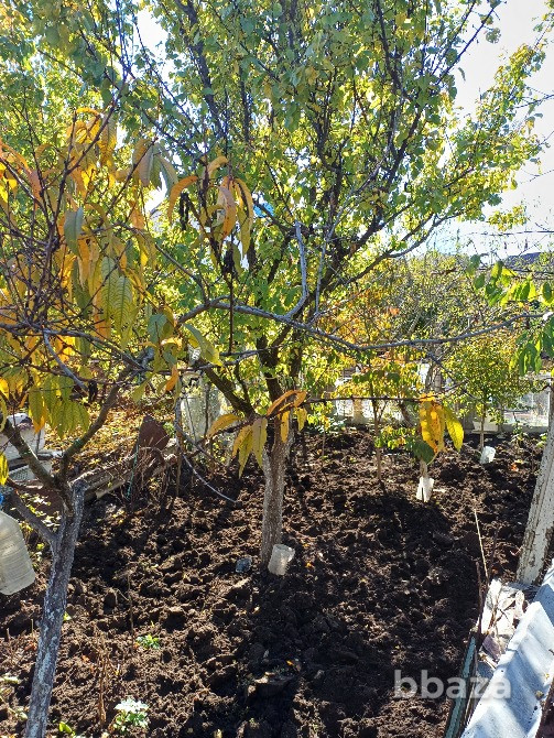 Участок 5,5 сот. (СНТ) Симферополь - изображение 9