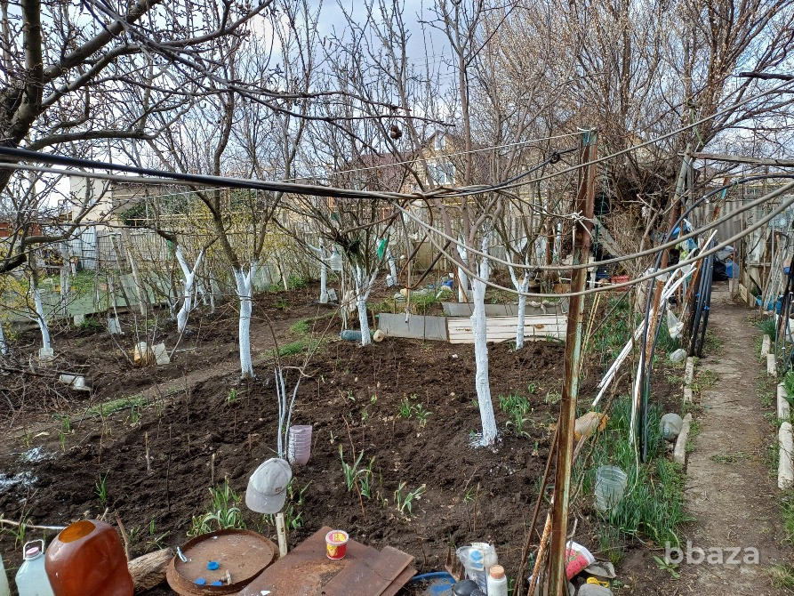 Участок 5,5 сот. (СНТ) Симферополь - изображение 5