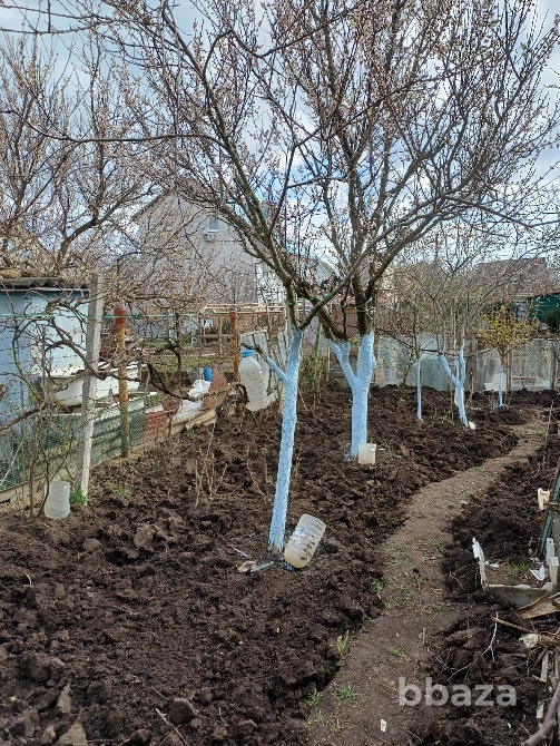 Участок 5,5 сот. (СНТ) Симферополь - изображение 6