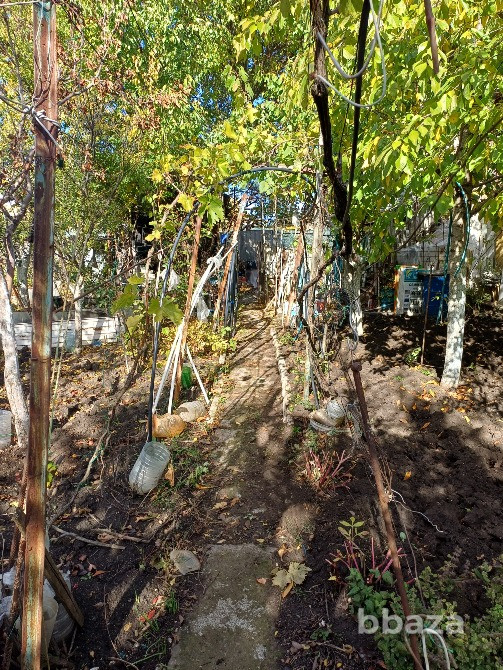 Участок 5,5 сот. (СНТ) Симферополь - изображение 10