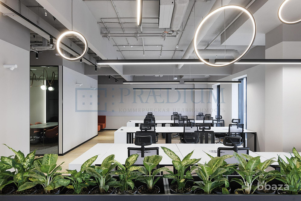 Сдается офисное помещение 287 м² Москва - изображение 1