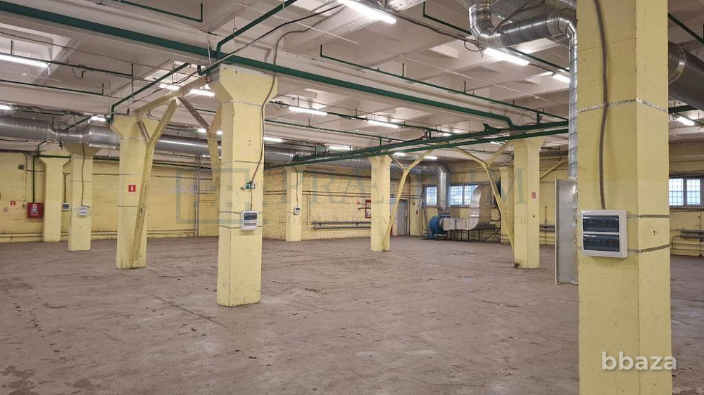 Сдается помещение 2505.10 м² Москва - изображение 3