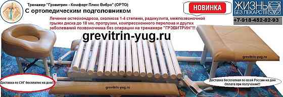 Лечение нарушения осанки спины тренажер Грэвитрин-комфорт плюс Вибро купить Екатеринбург