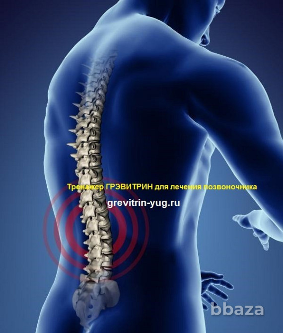 Лечение остеохондроза позвоночника на тренажере Грэвитрин Тверь - изображение 9