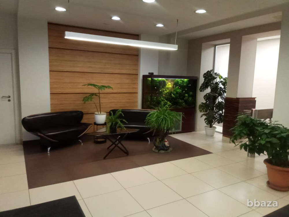 Аренда офиса 23.5 м2 Санкт-Петербург - изображение 3