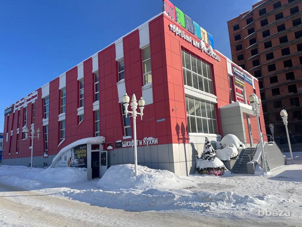 Продается готовый арендный бизнес 580 м2 в торговом центре "Сокол" Ступино - изображение 3