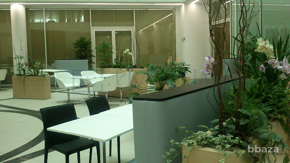 Сдается помещение свободного назначения 204 м² Москва - изображение 9