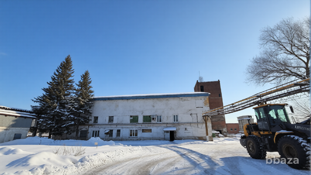 В продаже производственная база Алтайский край Тальменка - изображение 4