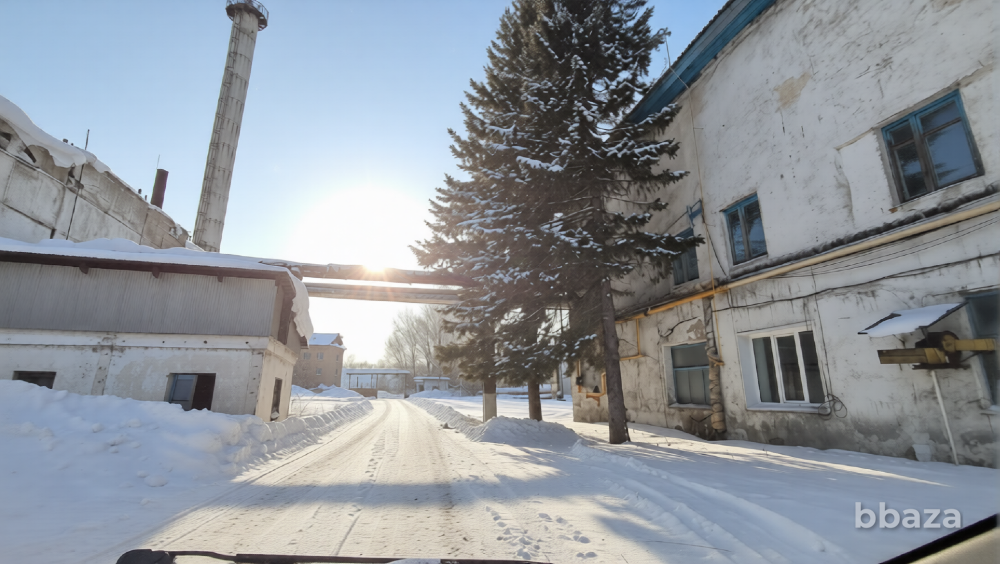 В продаже производственная база Алтайский край Тальменка - изображение 9