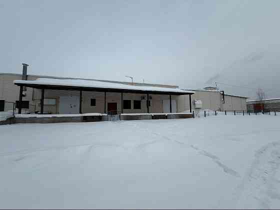 Готовый бизнес: завод по производству яичного меланжа Санкт-Петербург