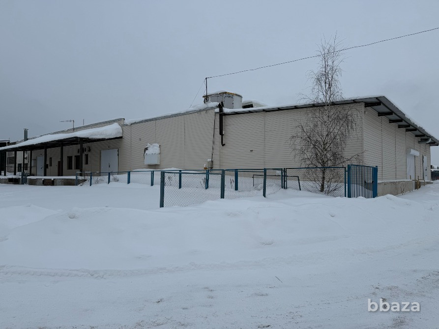 Готовый бизнес: завод по производству яичного меланжа Санкт-Петербург - изображение 2