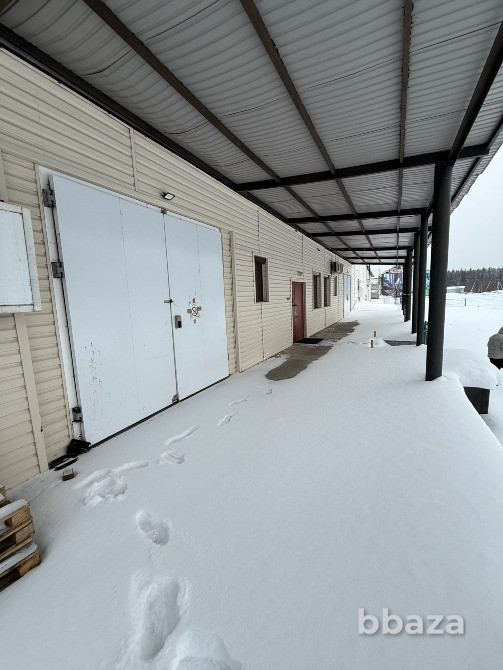 Готовый бизнес: завод по производству яичного меланжа Санкт-Петербург - изображение 3