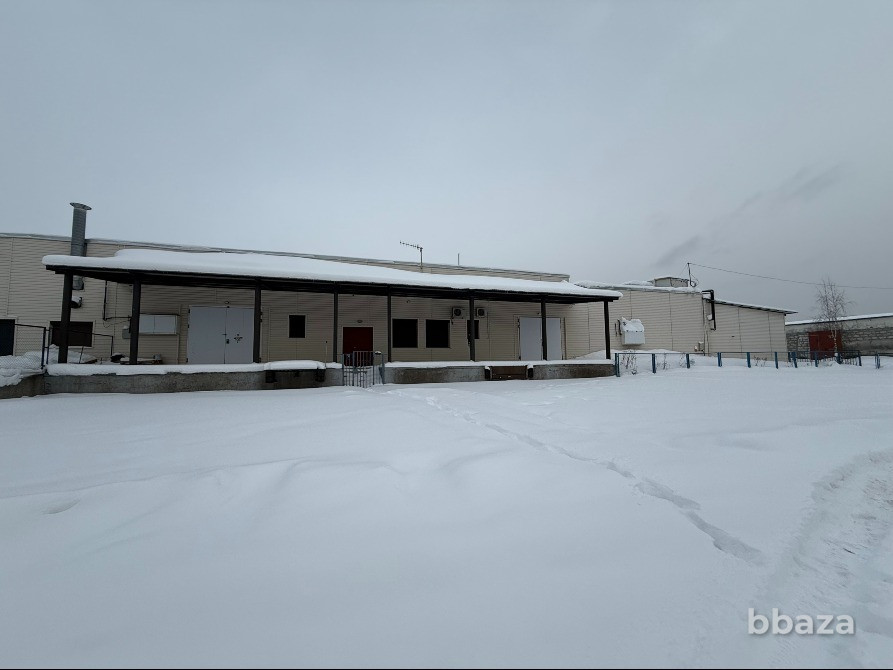 Готовый бизнес: завод по производству яичного меланжа Санкт-Петербург - изображение 1