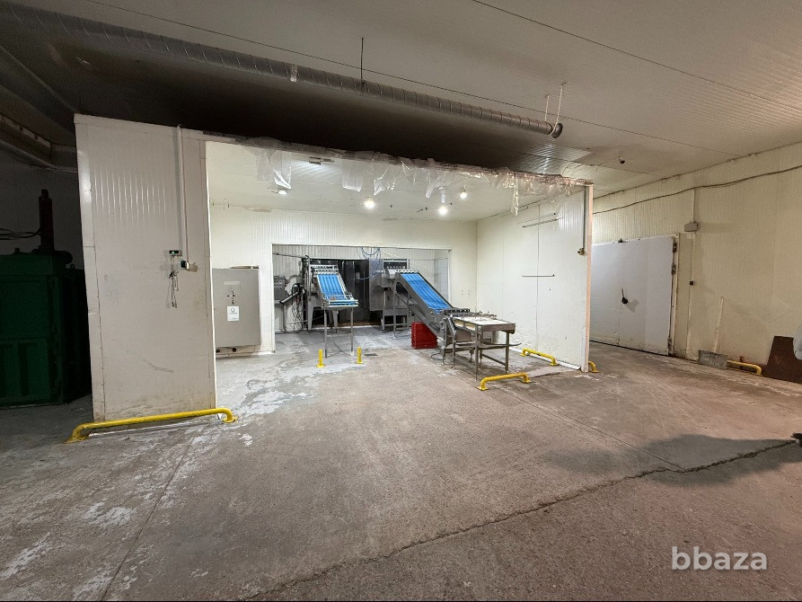 Готовый бизнес: завод по производству яичного меланжа Санкт-Петербург - изображение 8