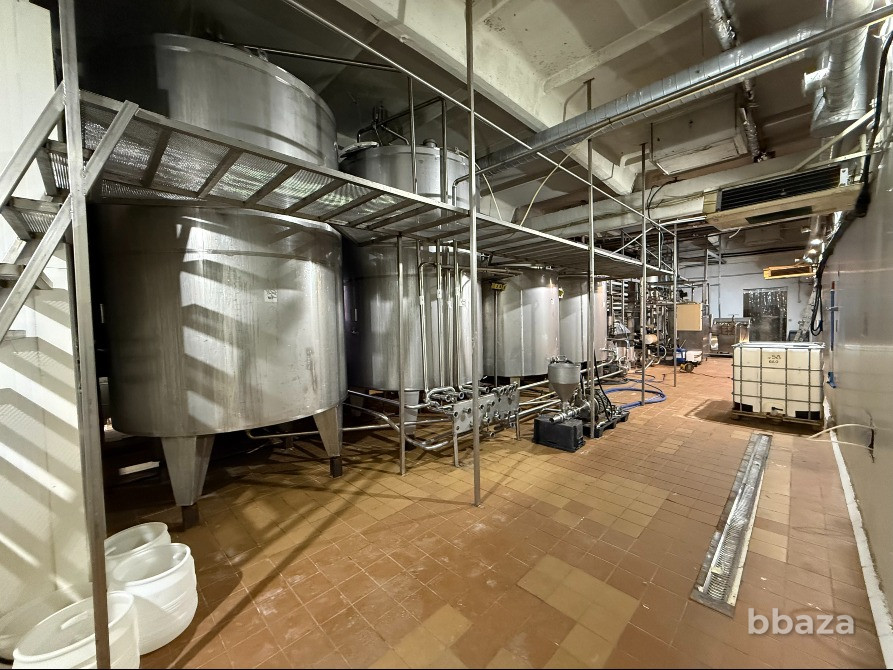 Готовый бизнес: завод по производству яичного меланжа Санкт-Петербург - изображение 4