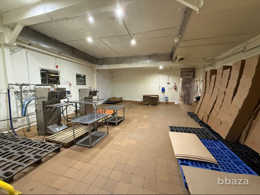 Готовый бизнес: завод по производству яичного меланжа Санкт-Петербург - изображение 6