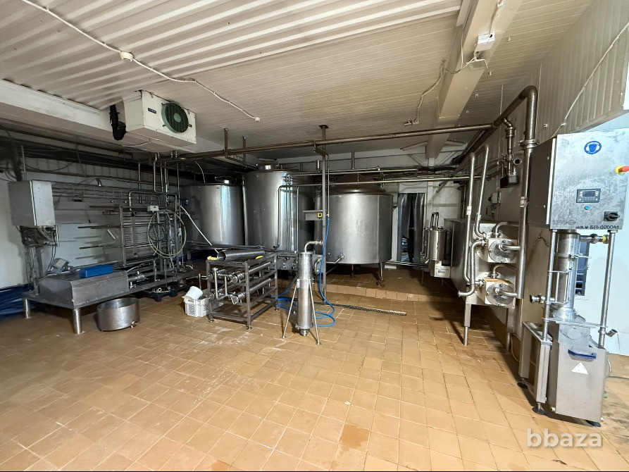 Готовый бизнес: завод по производству яичного меланжа Санкт-Петербург - изображение 7