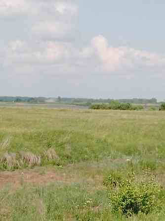 В продаже Охотхозяйство Кулундинский р-н Кулунда