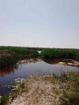 В продаже Охотхозяйство Кулундинский р-н Кулунда