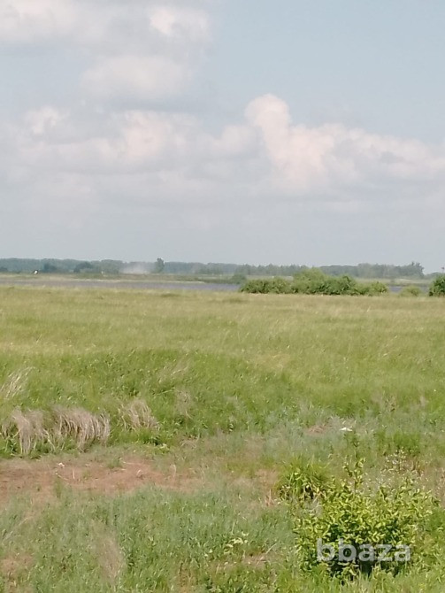 В продаже Охотхозяйство Кулундинский р-н Кулунда - изображение 5