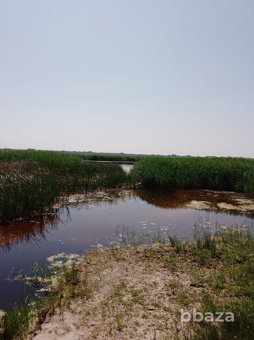 В продаже Охотхозяйство Кулундинский р-н Кулунда - изображение 6