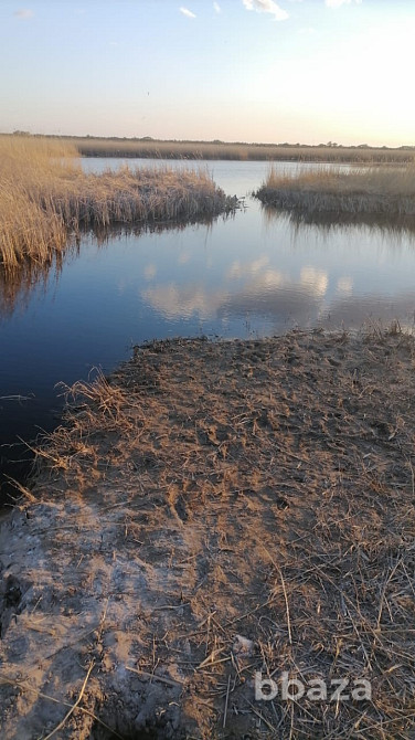 В продаже Охотхозяйство Кулундинский р-н Кулунда - изображение 3