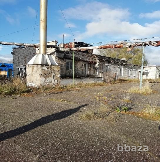 Имущественный комплекс с движимым имуществом в Новгородской области Пестово - изображение 2