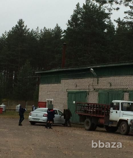 Имущественный комплекс с движимым имуществом в Новгородской области Пестово - изображение 5